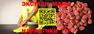 стаф Тара